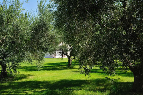 Agriturismo L’Orto di Lucania